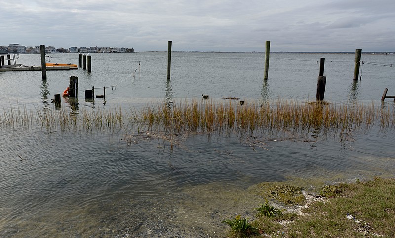 Submitted/Steve Jasiecki
Water above the docks during a King Tide.