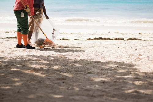 Shutterstock/Beach Cleanup.