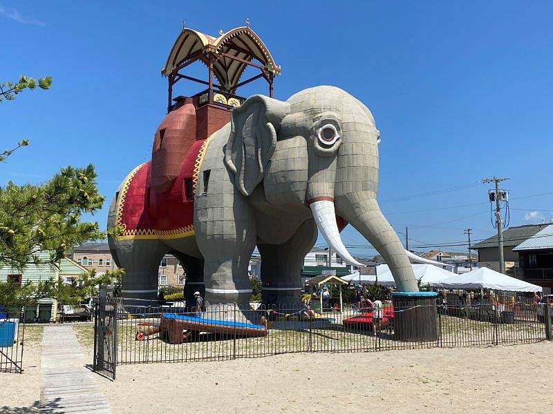 Lucy the Elephant getting some work done.