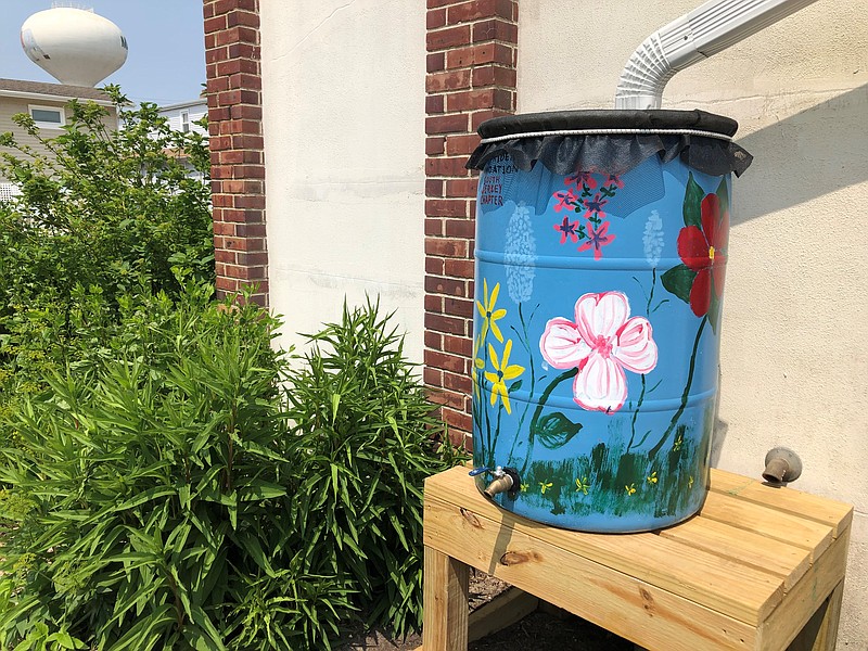 A rain barrel is located at the Margate City Municipal Building next to the native plant demonstration garden.