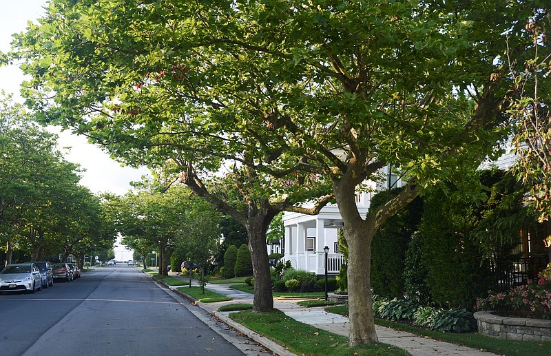 Steve Jasiecki/Tree-lined streets provide walkable neighborhoods and foster a sense of calm.