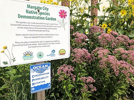 STEVE JASIECKI/The Sustainable Margate Demonstration Garden outside the Municipal Complex shows how native plantings enhance the local environment.