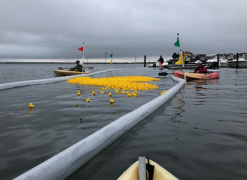 Depsite the rain, the MBA Rubber Ducky Derby was held in Margate, Aug. 29, 2021