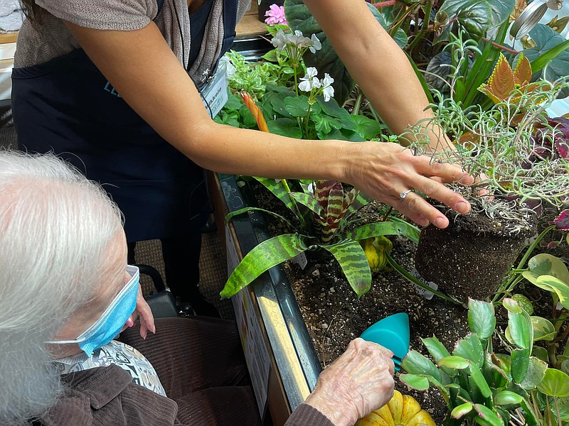 Seniors enjoy sensory stimulation in the Eldergrow indoor garden at Seashore Gardens Living Center.