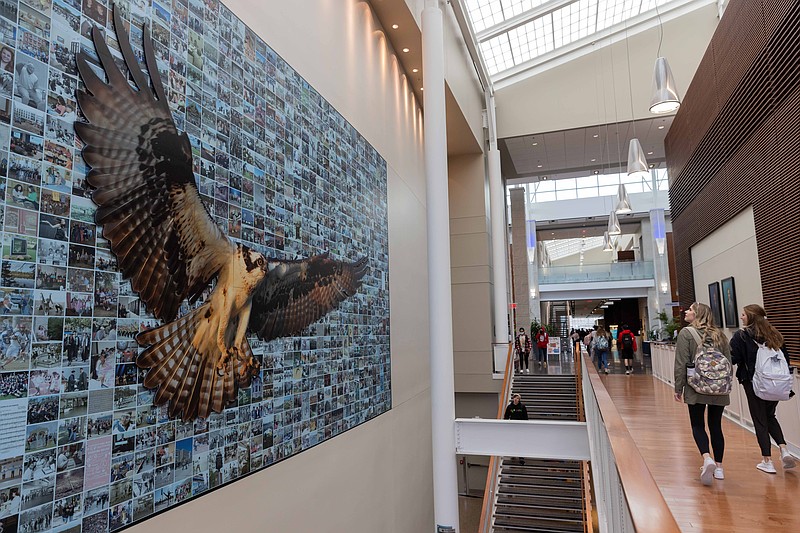 Susan Allen/Stockton University students admire the new '50th in Flight' mural installed at the Campus Center at Stockton University as part of the university's 50th anniversary celebration.