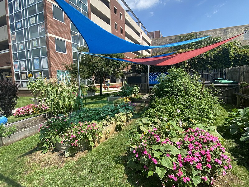 Provided/A portion of the $30,000 grant from the Geraldine R. Dodge Foundation will go toward expanding a community garden with the Ducktown Community Development Corporation in Atlantic City. The garden is located adjacent to the Noyes Arts Garage on Fairmount Avenue in Atlantic City.