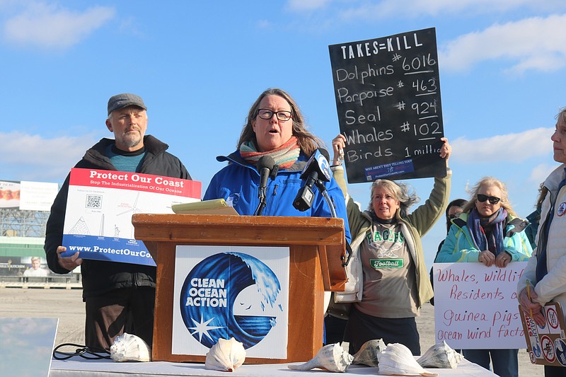 During an anti-wind farm news conference held in January, environmentalists criticize the project for allegedly causing deaths to marine mammals and wildlife.