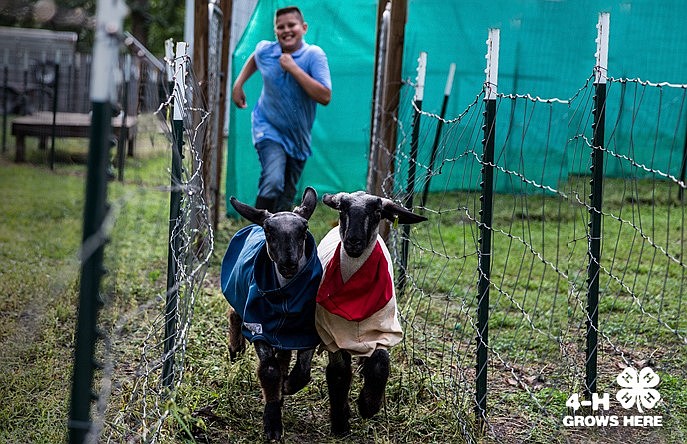 Atlantic County 4-H