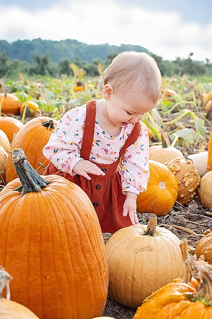 Pumpkin Patch Party