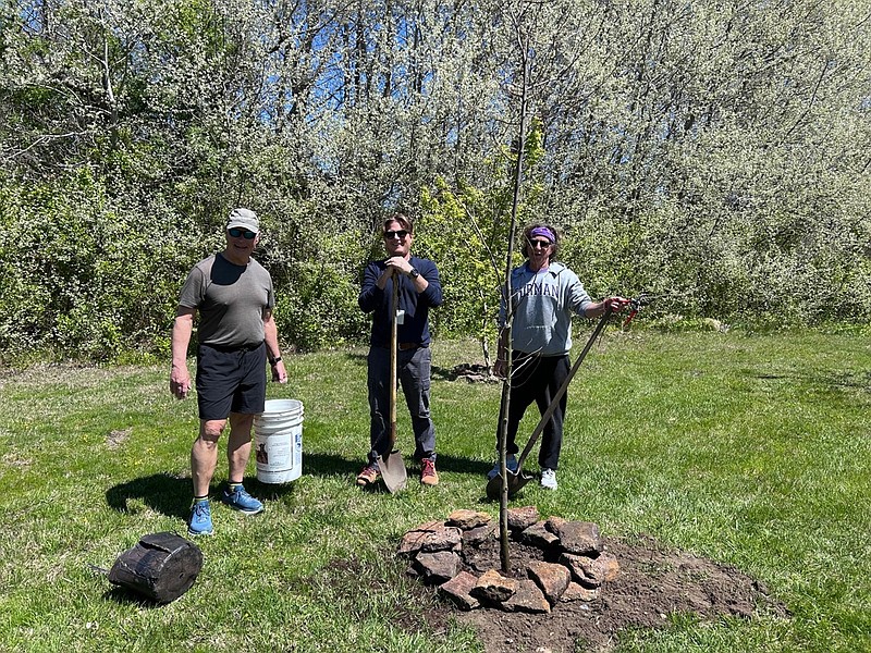 STEVE JASIECKI/John Pitts, Anthony Edge of the Public Works Department and Bob Blumberg, all members of Sustainable Margate,  finished planting a black gum tree in the Tree Identification Park. 