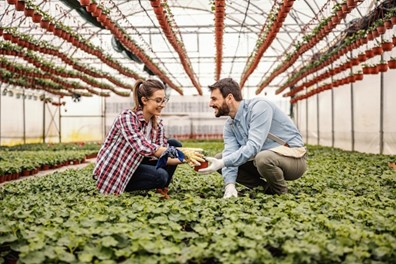 Tim Kealy Discusses the Rise of Home Gardening in 2024