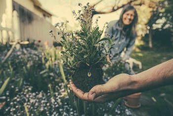 Tim Kealy Discusses the Rise of Home Gardening in 2024