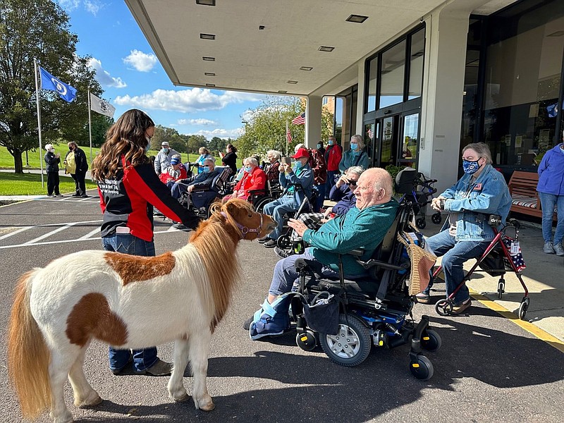 A miniature horse mingles with residents of Southeastern Veterans Center. 