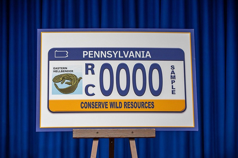 The new eastern hellbender plate displayed in Harrisburg this week. 