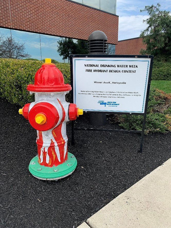 Last year’s winning hydrant in front of NPWA’s Operations Center, painted by 2022 contest winner, Ava Kloufetos. 