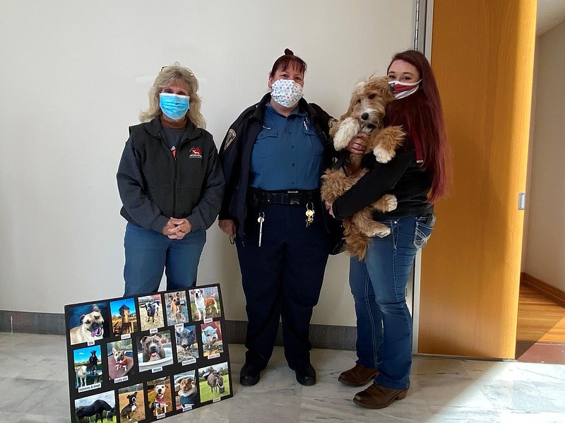 Kim Rutherford, owner of Tiny Miracles Rescue; Selena Heilman, who helped organize donations among County Employees; Emily Stay. 