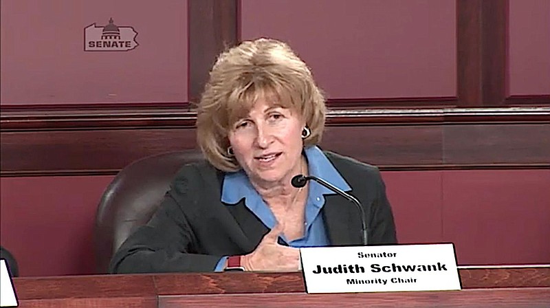 Pennsylvania state Sen. Judith Scwhank speaks Oct. 21, 2019, during a hearing of the Senate Agriculture and Rural Affairs Committee. 