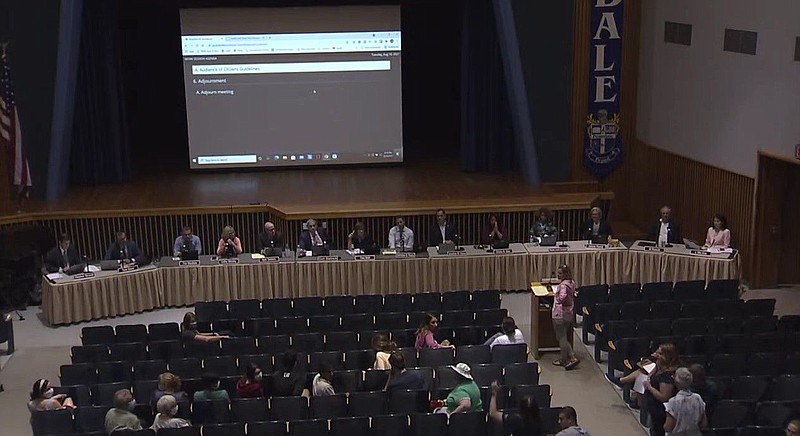 A screen shot of North Penn TV's live Youtube feed of Tuesday night's meeting, just prior to the argument. 