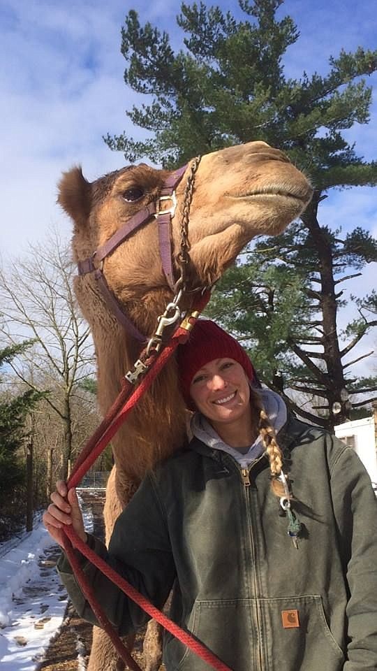 Einstein the Snow Camel, with caretaker Megan Hudock. 