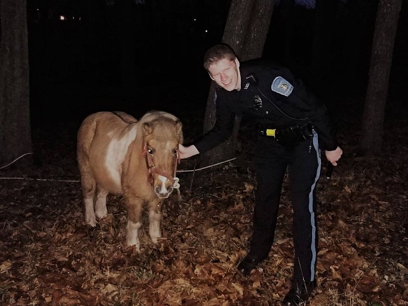 Officer Gabriel Wasserman with Buster, the mini horse. 