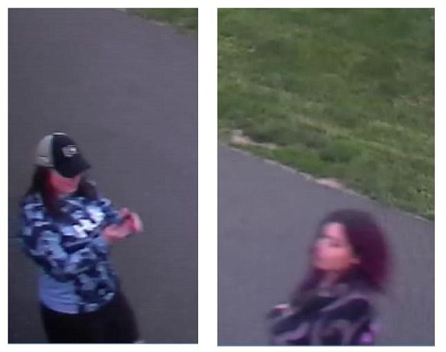 Surveillance images of the two female suspects. 