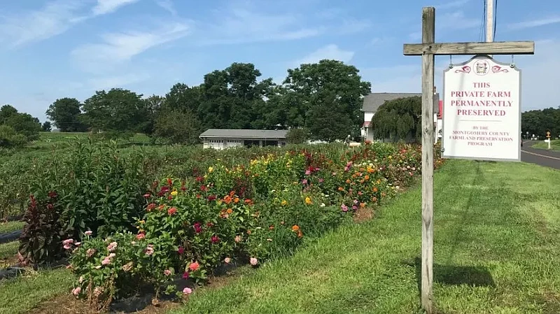 The farmland preservation program purchases agricultural easements on operating farmland in Montgomery County. 