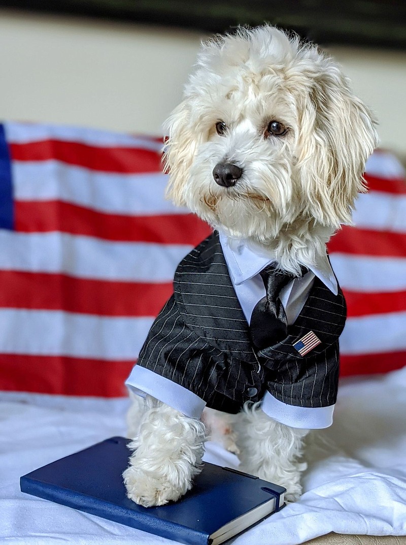 Louis Pasteur Croissant, Montgomery County’s “First Dog.” 