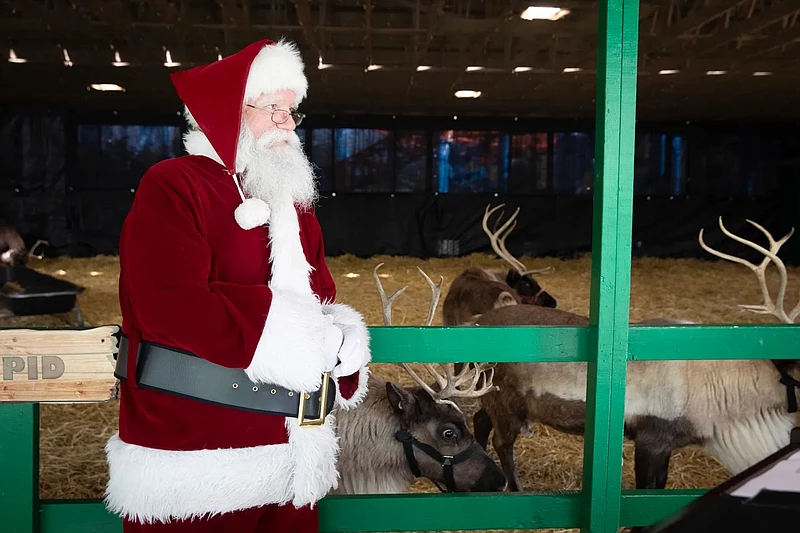 Santa with his reindeer. 