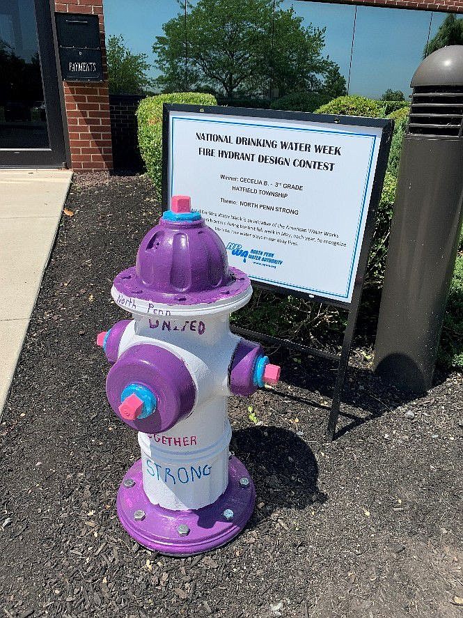 Hydrant design by Cecelia Breen, the 2021 contest winner. 