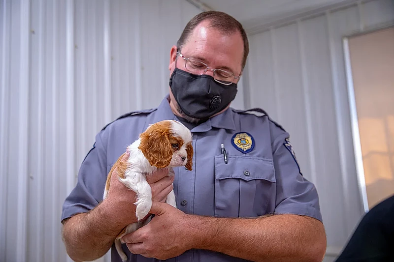 State Dog Warden Chris Seidel holds a puppy during a tour at Willow Spring Kennels in Bucks County in May 2021. 