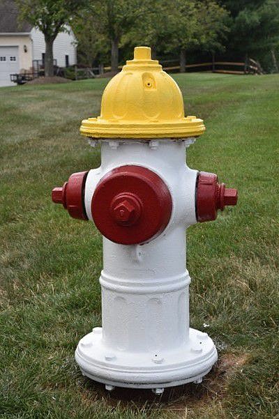 A fire hydrant. 