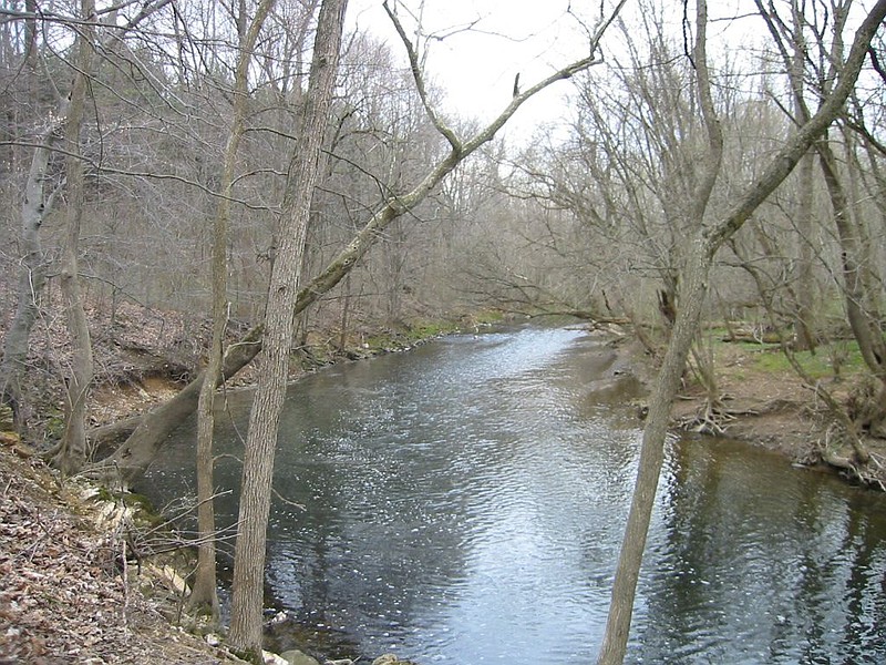 A portion of the Wissahickon Creek. 