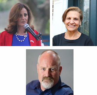 Debra Wachspress, top left, Judi Reiss, top right, and Andrew Meehan, bottom, have announced their 2020 runs for congress. 