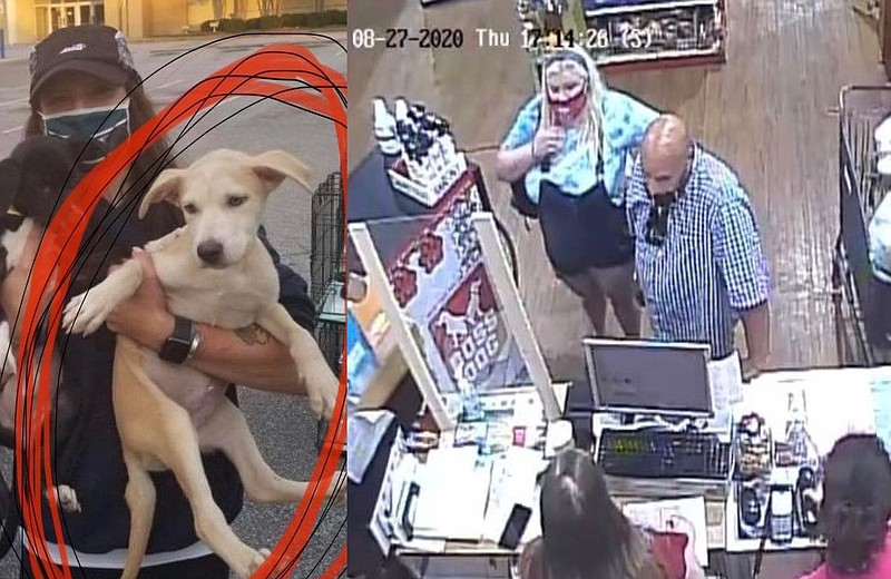 Left: a Pets Plus employee carries "Butters." Right: the couple who stole the puppy, as seen via surveillance footage. 