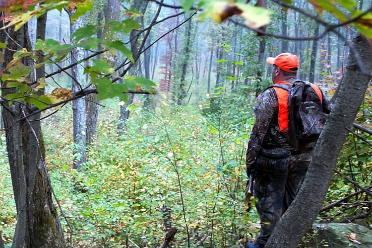 A Pennsylvania hunter looks out over a wooded area. 