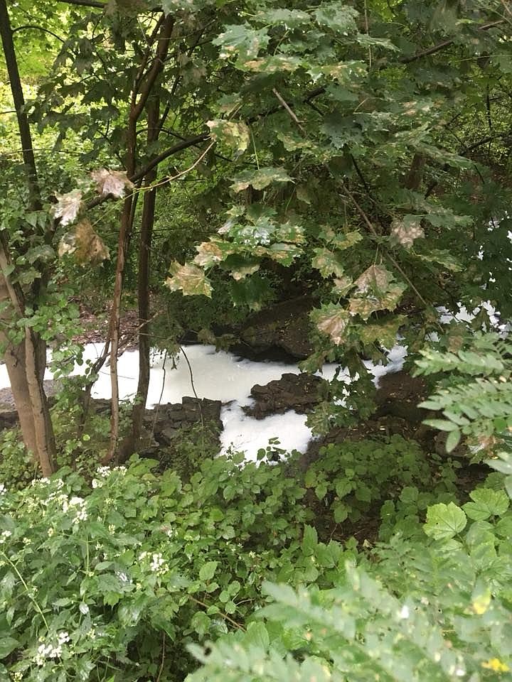 The milky-white chemical is was clearly visible in the stream on Sunday. 