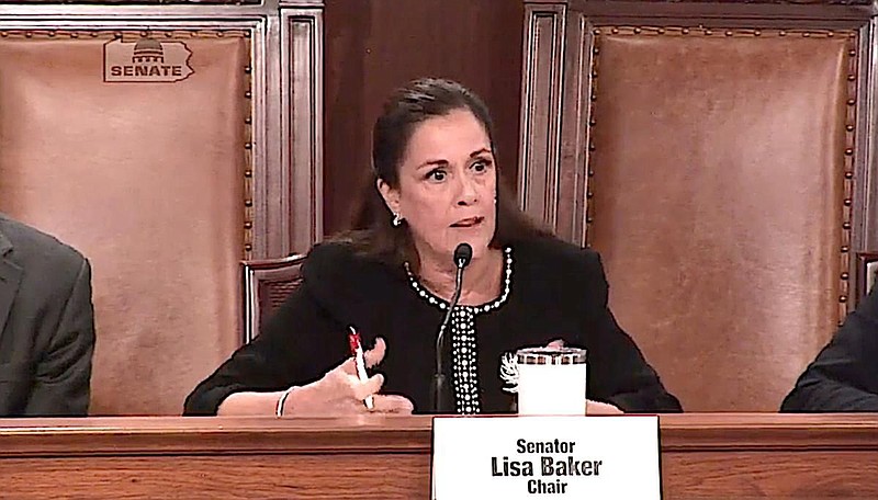 State Sen. Lisa Baker, chairwoman of the Senate Judiciary Committee, speaks Sept. 24 during a committee hearing. 