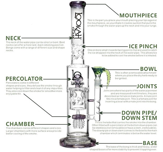 Percolator Bongs vs. Traditional Bongs: Which One is Right for You 