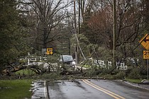 Wissahickon Storm Damage