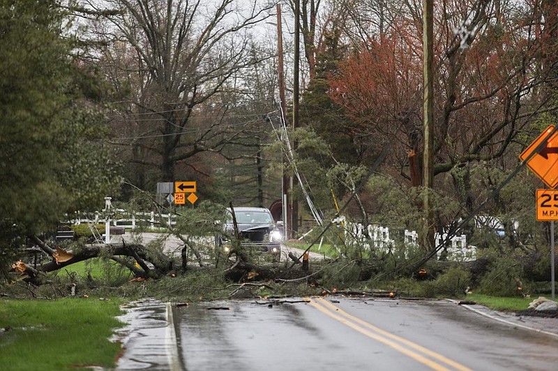 A portion of Plymouth Road has been closed after a fallen tree struck a vehicle and tore down wires in Whitpain Township.
