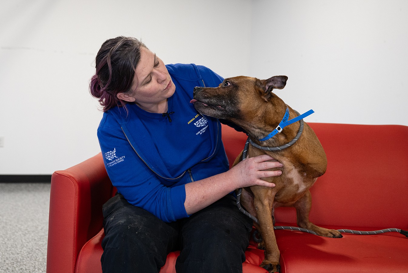 The Humane Society of the United States cares for over 120 dogs and puppies after assisting in their rescue from an alleged dogfighting operation in Cumberland County, New Jersey.