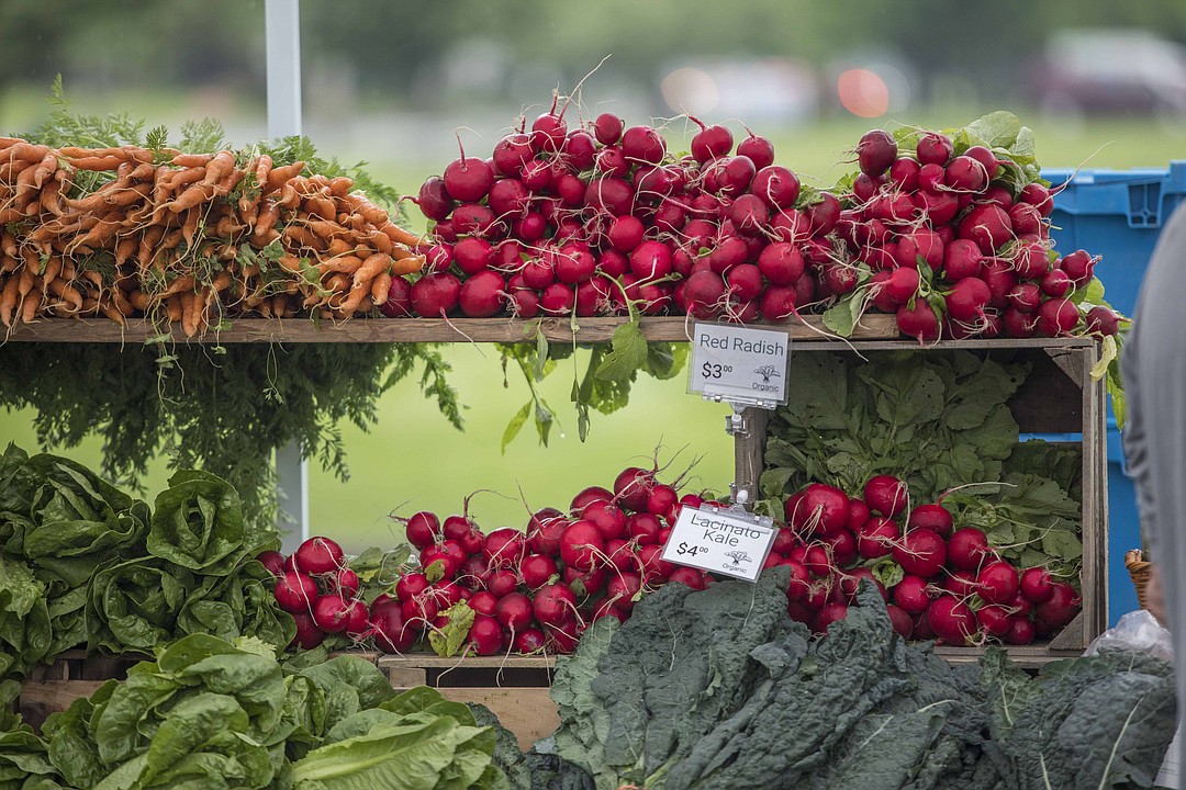 Photos Lansdale Farmers' Market sees crowded second weekend North