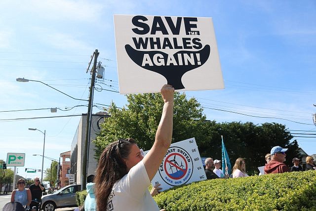 A protester calls for more protection for whales during the rally in May of 2023 at Mark Soifer Park in Ocean City.