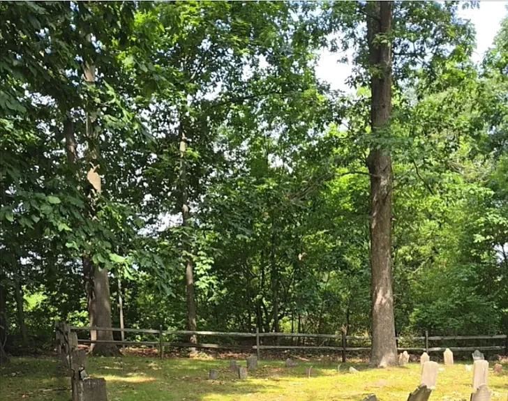 Trees stand above graves in the Tennis Lukens Cemetery on Allentown Road, as shown in a slideshow from the township Veterans Committee during the July 10, 2024 supervisors meeting.