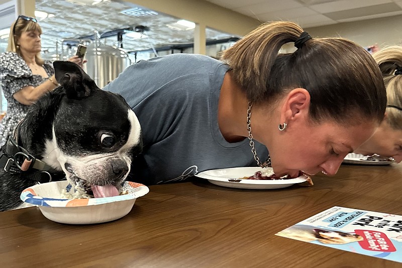 Somers Point's Dayna Troiano, of Dayna Troiano Pet Services, competes with her Boston terrier.