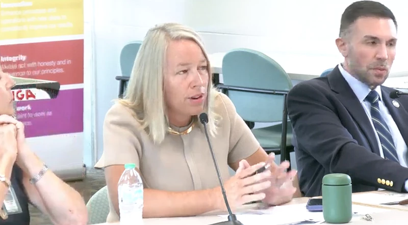 From left: Reps. Mandy Steele, D-Cheswick, and Ryan Bizzarro, D-Erie, at a House Democratic Policy Committee hearing on July 30, 2024. (Credit: House Democratic Policy Committee / YouTube)