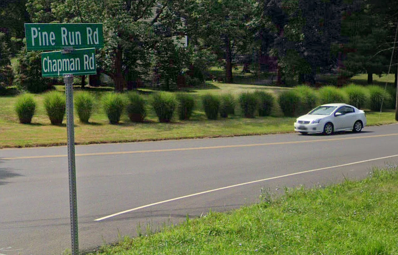 Chapman Road Bridge runs over Pine Run off Pine Run Road in Doylestown Township.