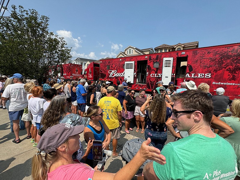 Gallery: Budweiser Clydesdales visit Margate