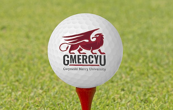 Image courtesy of GMercyU