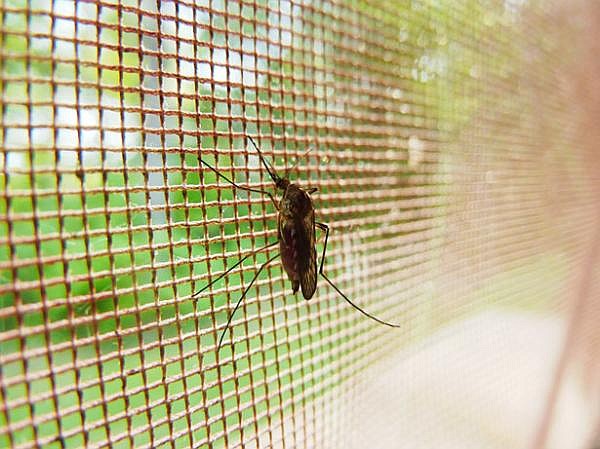 The Department of Mosquito Control continues to test and spray mosquitoes in the affected areas. (Image courtesy of Cape May County)